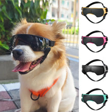 Retro Dog Sports Googles