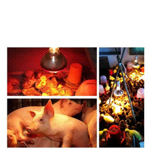 Infrared Heat Bulb for Pet Warmth