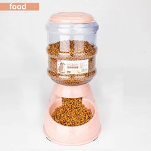 Dog Food Bowl Automatic