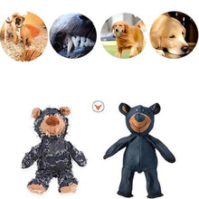 Interactive Teddy Bear Teething Dog Toy