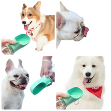 Pet Bottle with Food and Water Dispenser