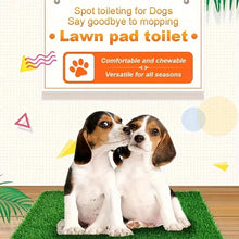 Reusable Pet Training Lawn