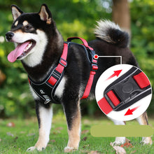 Breathable Quick Release Dog Harness