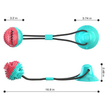 Interactive Rope And Suction Cup Feeder Chew