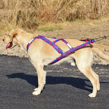 Canicross Harness