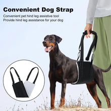 Dog Support Harness for Back Leg