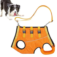Dog Support Lift Harness