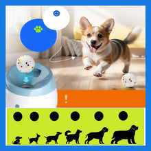 Automatic Dog Ball Thrower Launcher