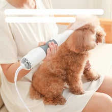 3-in-1 Pet Hair Brush and Dryer