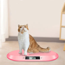 High-Precision Cat & Dog Scale