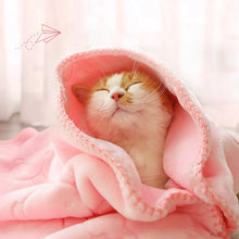 Pet Winter Thick Blanket