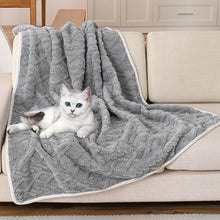 Thick Pet Plush Blanket for Winter