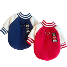 Thick Winter Dog Coat