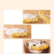 Interactive Cat Toy with Catnip