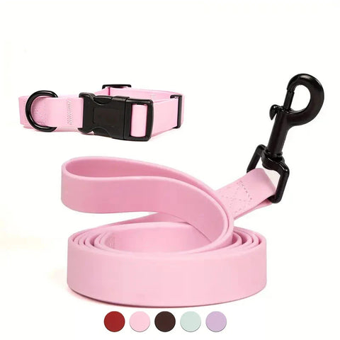 Adjustable Dog Collar and Leash Set for Small Medium Large Dogs