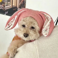 Rabbit Ears Dog Hat