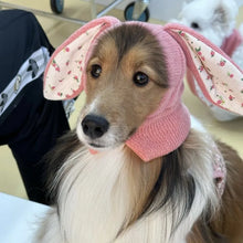 Rabbit Ears Dog Hat