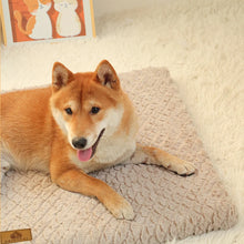 Orthopaedic Foam Dog Bed