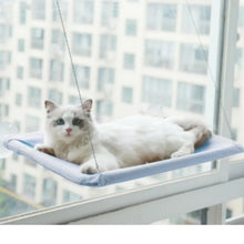 Colourful Aerial House for Kittens