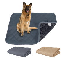 Washable Dog Training Pad