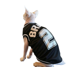 Sphynx Cat Soccer Black Clothing Jersey
