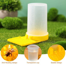 Bee Feeder Drinking Water Box