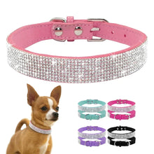 Comfortable Collars for Pets