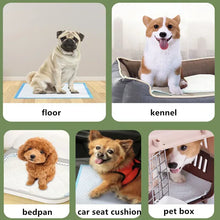 100PCS Thickened Absorbent Dog Puppy Training Pads