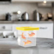 Aquarium Breeding and Isolation Box