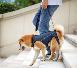 Dog Support Lift Harness