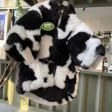 Warm Winter Jacket For Small Pets