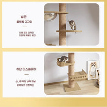 Multi Level Ceiling Cat Tree
