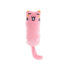 Catnip Cat Toy with Rustle Sound Plush Pillow