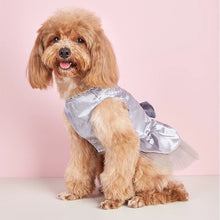 Tulle Lace Skirt Pet Apparel