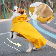 Lightweight Dog Raincoat