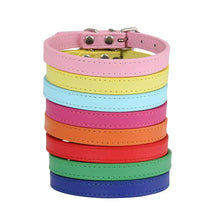 Colourful Leather Collars for Cats