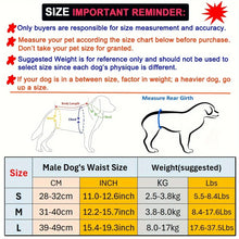 3 pcs Male Dog Cloth Diaper