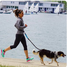 Hands Free Bungee Dog Leash