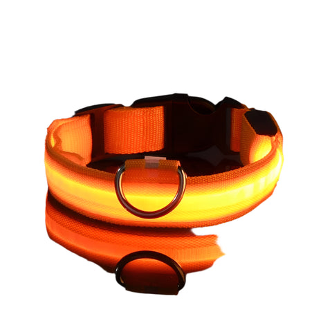 Dog Collar with LED Light