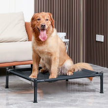 Elevated Bed Dog with Frame
