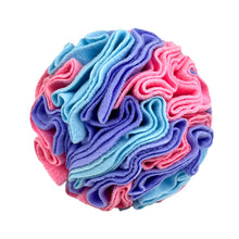 Interactive Snuffle Ball Dog Toy