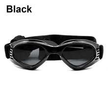 Fashionable Sunglasses for Pets