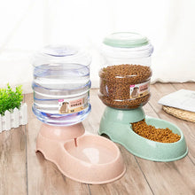 Dog Food Bowl Automatic