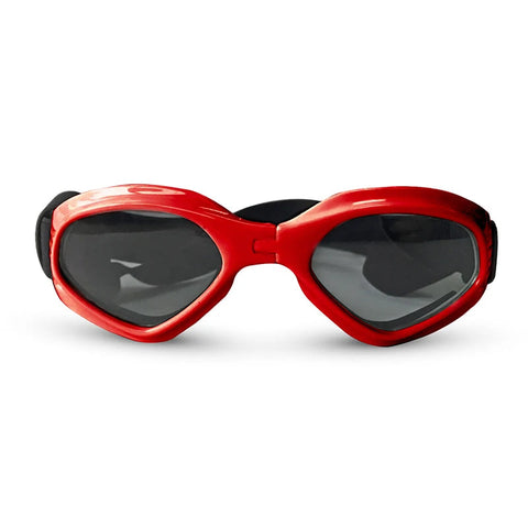 Fashionable Sunglasses for Pets