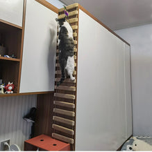 Wall-mounted Activity Cat Climber