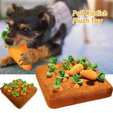 Carrot Inspired Pet Toys
