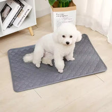 Waterproof Washable Dog Pee Pad