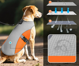 Cooling Vest Dog Harness