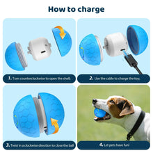 Pet Automatic Toy Ball with RGB Lights