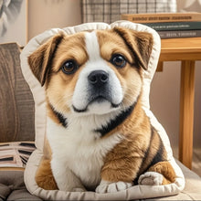 Customisable Plush Pillows